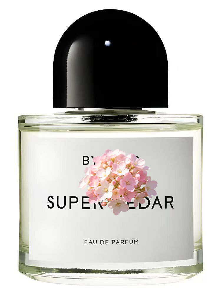 Unisex Eau de Parfum 100ml 3.4 - Perfume Luxury Fragrance recensie en prijs